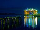 54. The Borgholm Dolphin
