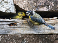 A Tasty Morsel