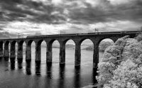 Crossing the Tweed