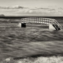 Bridge to the Bass?