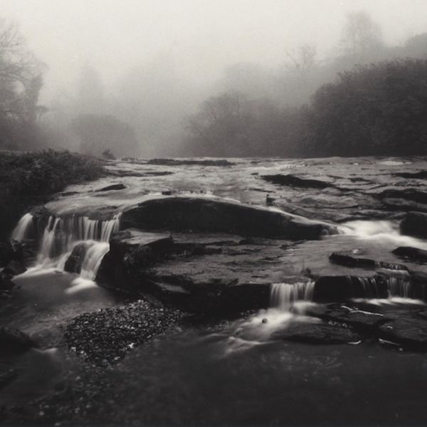 0004 landscape