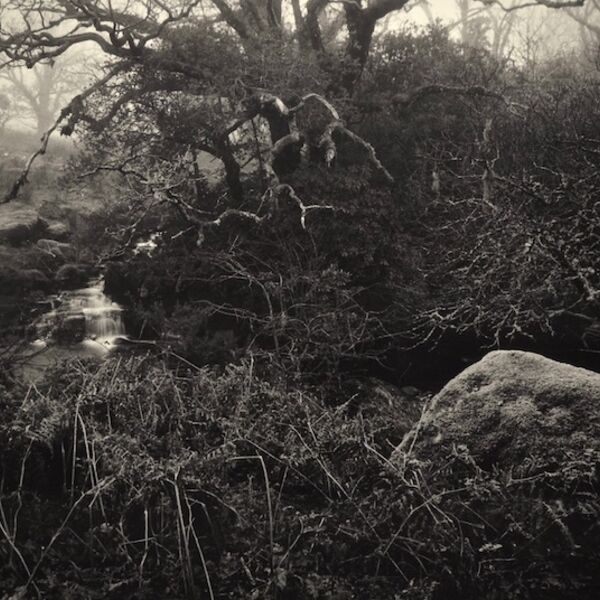 0005 landscape