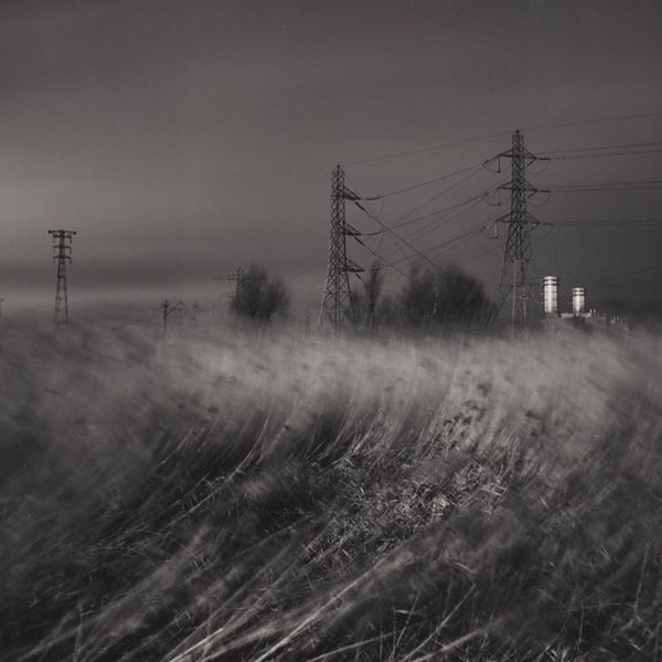 0006 landscape