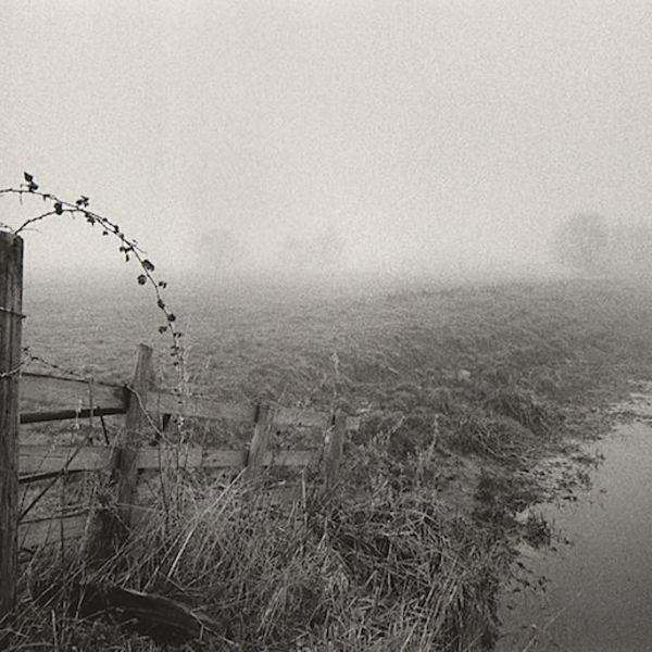 0009 landscape
