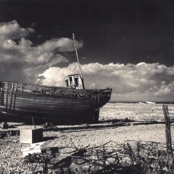 0029 landscape