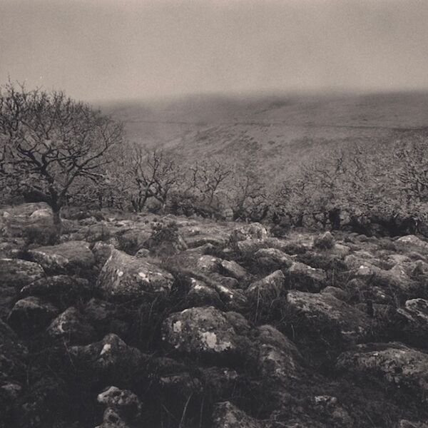 0044 landscape