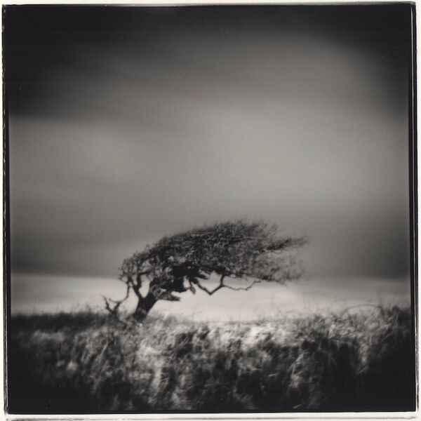 Holga & Pinhole