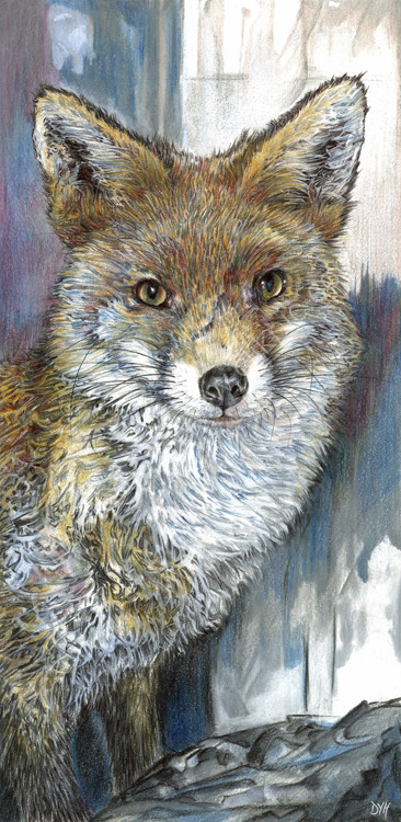 Brave Little Fox - coloured pencil