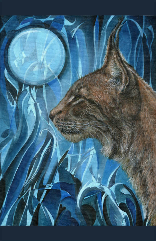 Dreams of a Lynx - oil