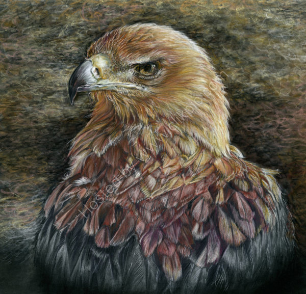 Invictus - pastel