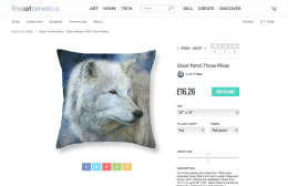 Shop Securely with Fine Art America