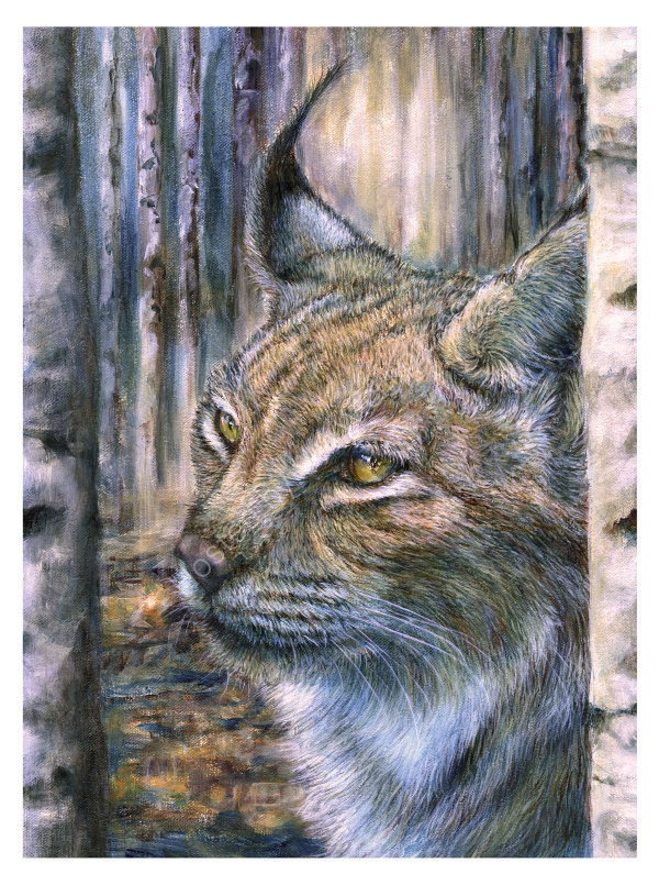 Sylvan - oil