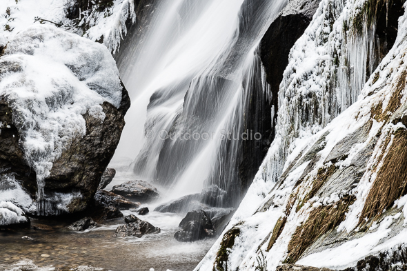 POWERSCOURT WATERFALL HALF DAY PHOTOGRAPHY WORKSHOP - MARCH 2019