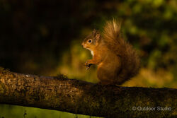 ADOBE LIGHTROOM - MODULE 7 - LIBRARY WORKFLOW - DATE: 26th March 2021
