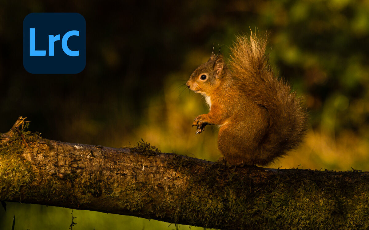 ADOBE LIGHTROOM CLASSIC MODULE LRC7 - LIBRARY - WEDNESDAY 2nd SEPTEMBER 2026
