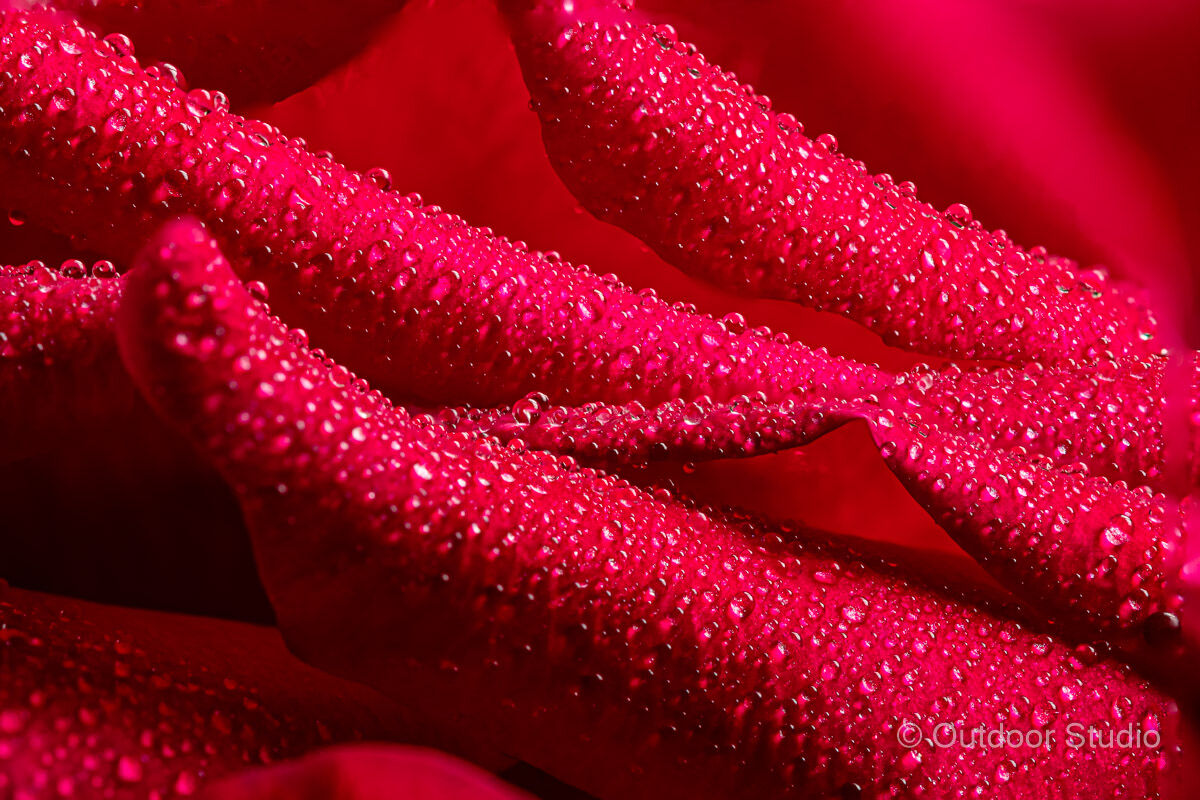 ADOBE LIGHTROOM - MODULE 9 - ADVANCED EDITS DATE: 20th FEB 2021