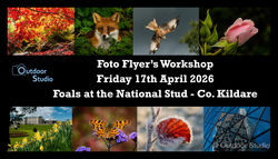 FOTO FLYERS PHOTOGRAPHY WORKSHOP - 17th APRIL 2026 - NATIONAL STUD