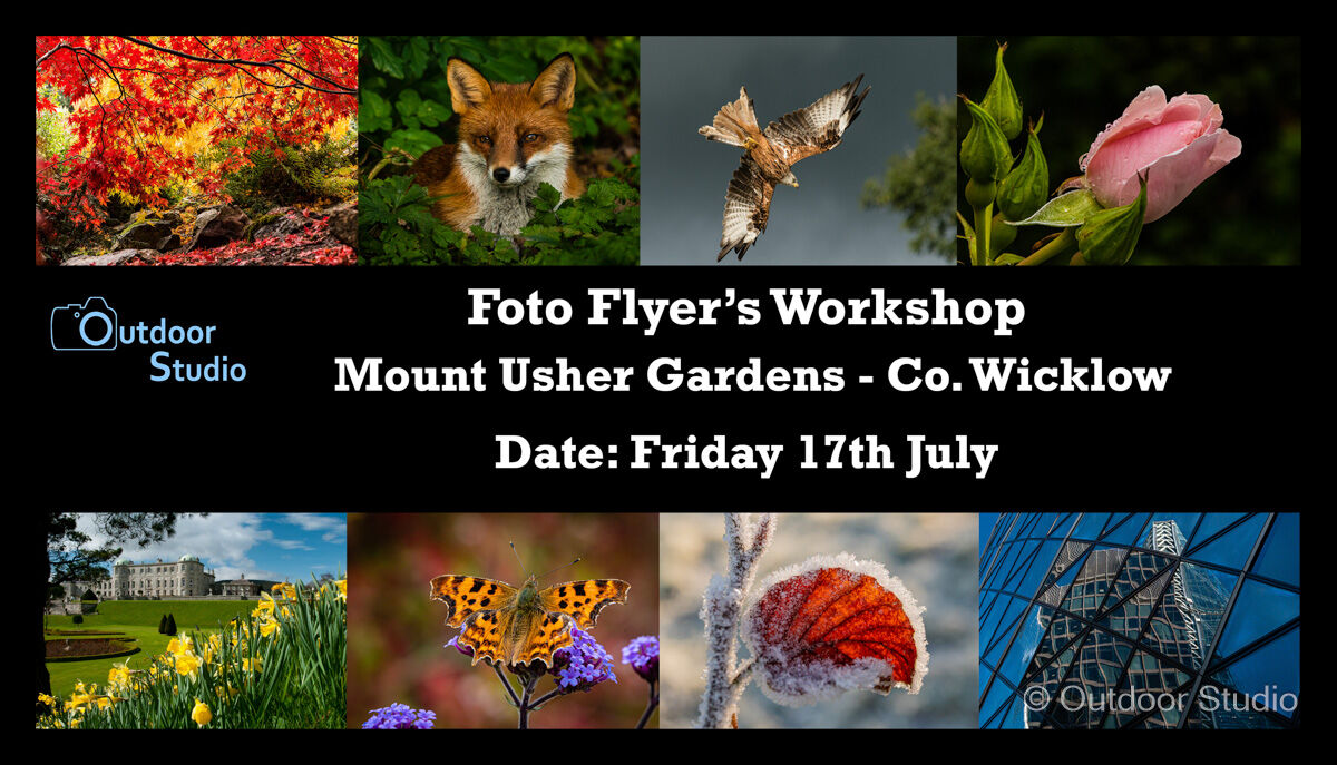 FOTO FLYERS PHOTOGRAPHY WORKSHOP - MOUNT USHER GARDENS - 17th JULY