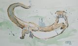 River Otter