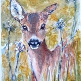 A roe deer doe looking through cow parsley