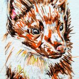 Pine marten in pen and watercolour