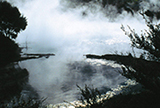 WATER, FOG & MIST