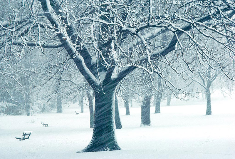 Hampstead Heath, London, England