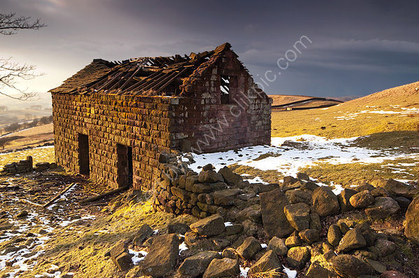 Still Standing