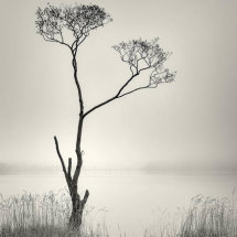 04 Nick Bodle Misty Morning Buttermere = Second Place