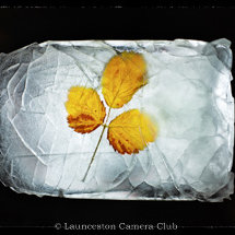 05 Chris Robbins Autumn Encapsulated Third Place Colour