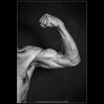 08 Muscle Chris Robbins