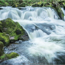 13 Don Easter Golitha Falls