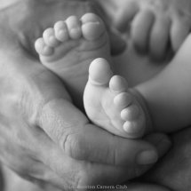 13 ValCarpenter Ten Tiny Toes wb