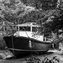 15 Mike Stickney After the Flood-