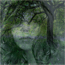15 Tracey Small Enchanted Forest