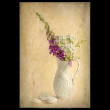 16 Foxgloves and Sweet Williams Heather Bodle