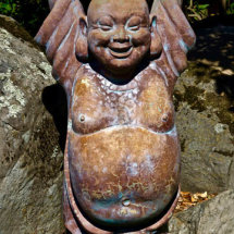 17 Laughing Buddha Angie Cook
