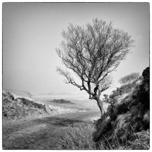 19 Heather Bodle Lone Tree Second Place =