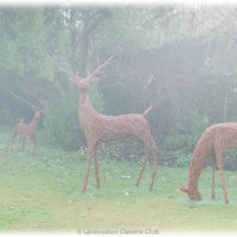 19 Misty Willow Bodies Hugh Letheren