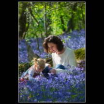 21 Chris Robbins Sitting in the Bluebells 3rd Place