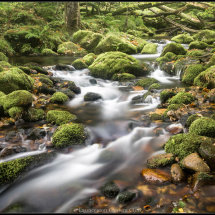 21 Dartmoor Stream Geoff Trevarthen Commended