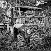 26 Body Hidden in Brambles Geoff Trevarthen Commended