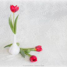 32 Hilary Phillips A Touch of Spring