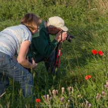 39 Photographers Mike Pettett