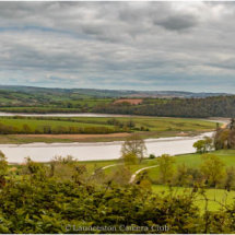 44 Tamar River Hugh Letheren