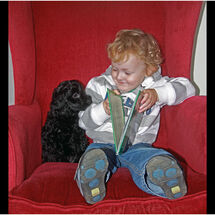 C Adrian Davey_Story sharing