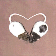 C Amelia Parsons_Sisterly Love