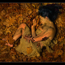 C Chris Robbins On the Forest Floor