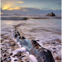 C Chris Trueman Silesian Serpent