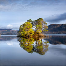 C Heather Bodle A Simple Reflection